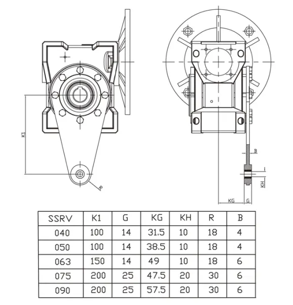 EP-SSRV050 304 stainless steel torque arm dimensions