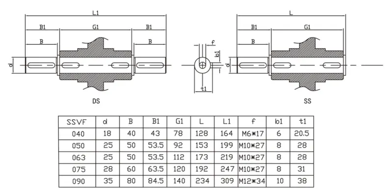 EP-SSVF40 304 stainless steel output shafts SSVF series