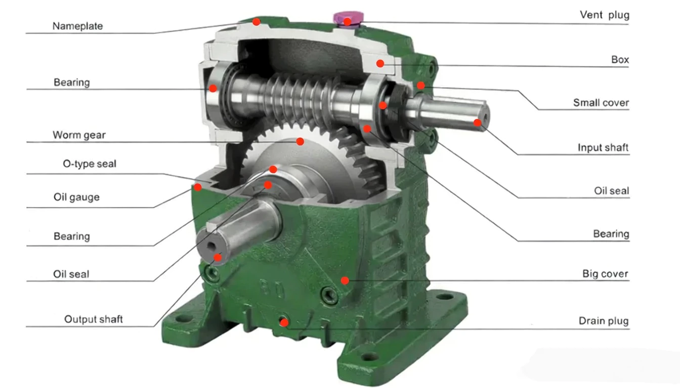WPDKS worm gearbox internal structure components